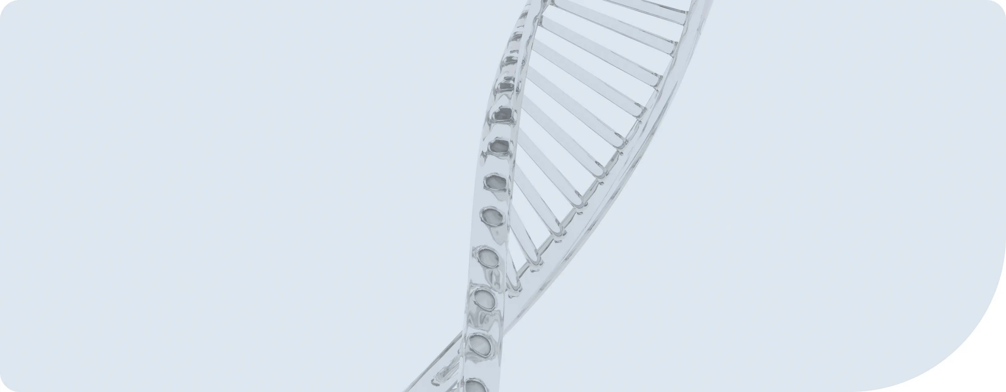 DNA 이중나선 이미지