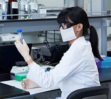 メディトックス第2工場 (オソン)