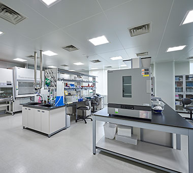 メディトックス第2工場 (オソン)