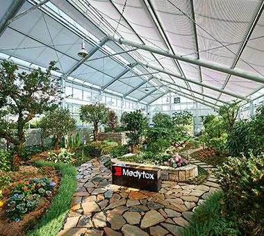 メディトックス第2工場 (オソン)