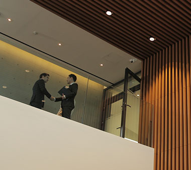 メディトックス第2工場 (オソン)