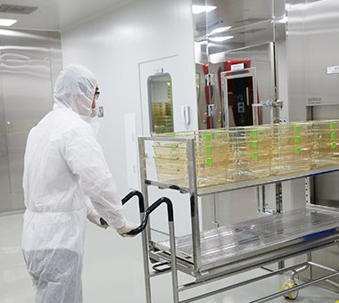 メディトックスR＆Dセンター (クァンギョ)